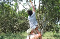 Picking fruit (1024x683)