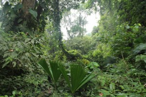 Blog1 (1024x683) (1)