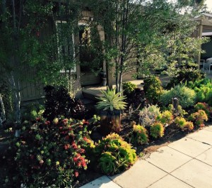 10013516_553323591475971_6685884500647391165_n