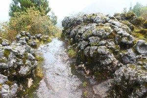 BLOG15regret (1024x683)